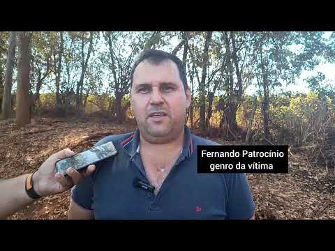 Trabalhador morre após ser atingido por eucalipto em fazenda