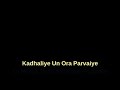 Paayum Theeye Karaoke Song Lyrics