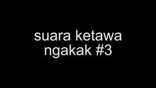 Download lagu Suara ketawa ngakak #3 mp3