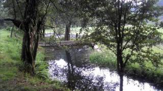 Noelia-&quot;toco la luz&quot;