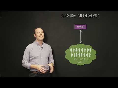 Seedrs   Nominee Structure Explained