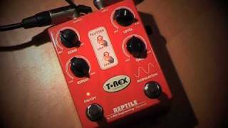 Video thumbnail for T Rex Reptile: Presented by Sadie by Brett Kingman