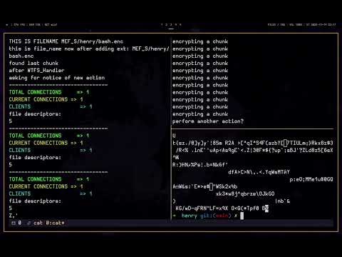Single Client Demonstration