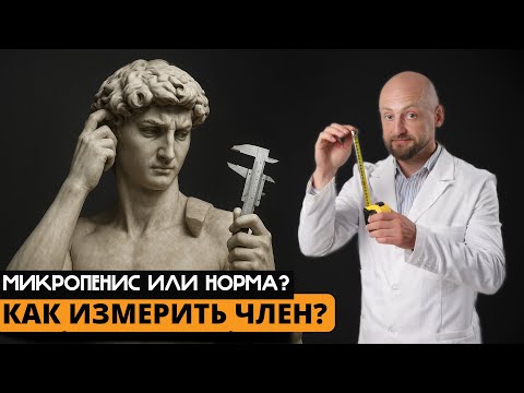 Is your penis size normal? How can I measure it myself?