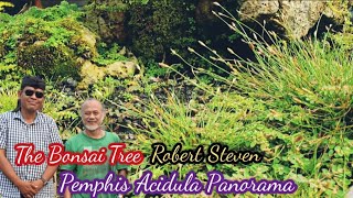 Download lagu Santigi Panorama Robert Steven @therisingofroninbonsai mp3 Download lagu Santigi Panorama Robert Steven @therisingofroninbonsai mp3