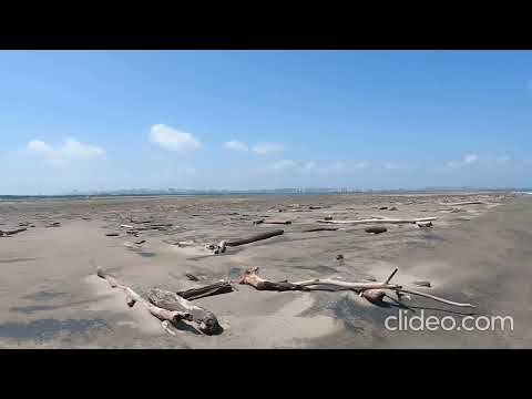Bocas de ceniza, Puerto mocho, Ciénaga Mallorquín, Barranquilla, Atlántico