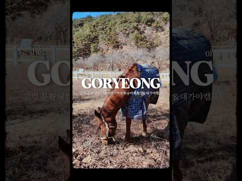 고령에서 즐기는 갓벽한 하루 코스! 