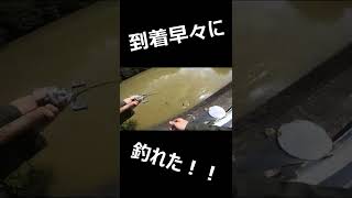 到着早々#shorts