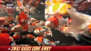 Have These SWAT Raids Gone Too Far? | The Hotlist