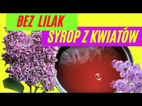 , title : '🍇 BEZ  LILAK - Syrop /Macerat /Lemoniada /Miód /Napar /Herbatka / Nalewka /Przepisy z kwiatów bzu 🍇'