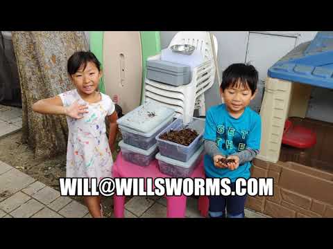Worm Composting Mini Bins!