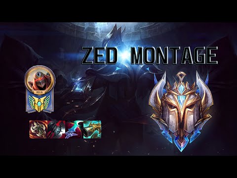 Zed Montage S11- Shadows