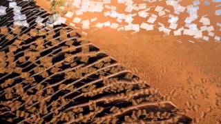 Laurent Voulzy - LYS & LOVE - la neuvième croisade...