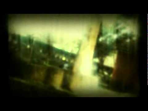 ILLUSION LIVING CREW - leê ferreira