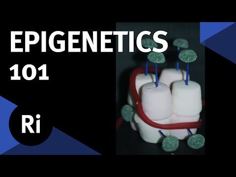 A Quick Introduction to Epigenetics - with Nessa Carey