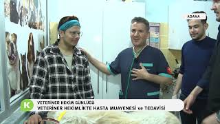 VETERİNER HEKİMLİKTE HASTA MUAYENESİ VE TEDAVİSİ | VETERİNER HEKİM GÜN