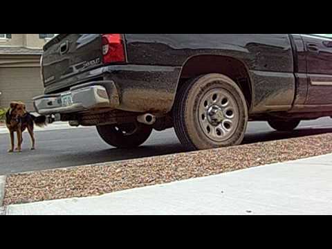Muddy Chevy Silverado with moroso spiral flow exhaust