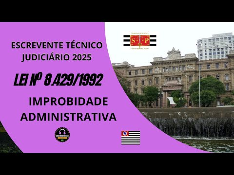 JUDICIAL TECHNICAL CLERK - ADMINISTRATIVE IMPROBITY - LAW 8,429/1992 - TJSP 2025