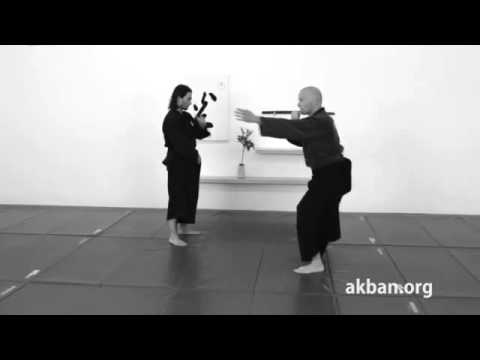 Ninjutsu stance application, Seigan no kamae, ichimonji technique for Akban wiki