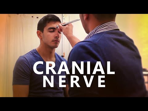 Cranial Nerve Examination - OSCE Exam Demonstration