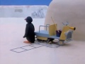 Pingu 11