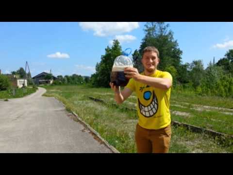 Šagija un Bačuka piedzīvojumi!