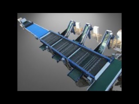 Fruit Grading Machine