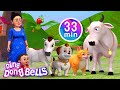 Meow Meow Billi Karti + More Hindi & Nursery Rhymes For Kids | Ding Dong Bells
