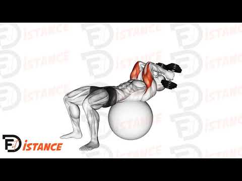 Exercice Extension des triceps sur ballon (Swiss Ball)