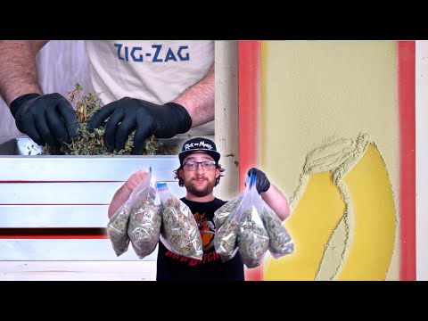 MAKING HASH FOR THE FIRST TIME IN 2021| TURNING "LEFTOVER" TRIMMY SHAKE INTO PURE GOLD!