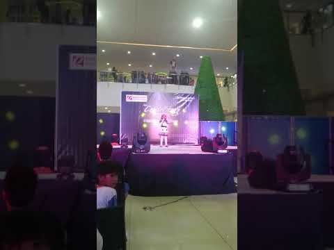 Fight Song by Lindcey Santiago