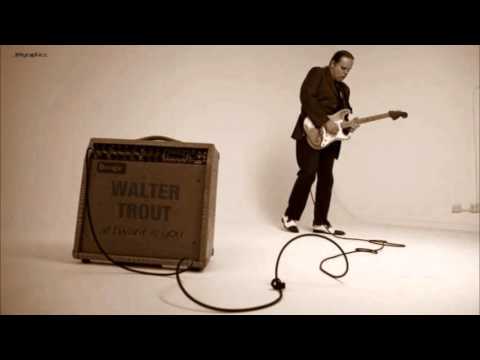 Videoclip de All I Want Is You — Walter Trout