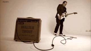 Walter Trout - All I Want Is You