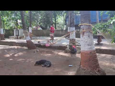 HAMMOCK | SWING | CRADLE | BEACH| FAMOUS BEACH OF MAHARASHTRA| #alibagtourism  #tourism| PLAYGROUND|