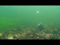 Barbel PVA Bags Underwater Revealed