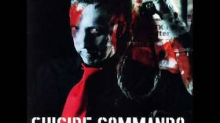 Suicide Commando - Godsend
