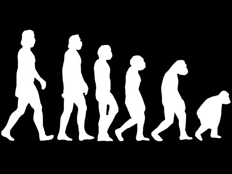 What If We Turned Back into Apes?