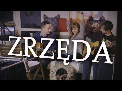 Zrzęda - wersja akustyczna (Wojtek Szumański i Piotr Galiński)