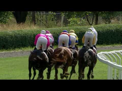 CH, 10. 6. 2018, 6. dostih - 15. ČERVNOVÝ POHÁR