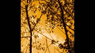 GAS - Königsforst 5