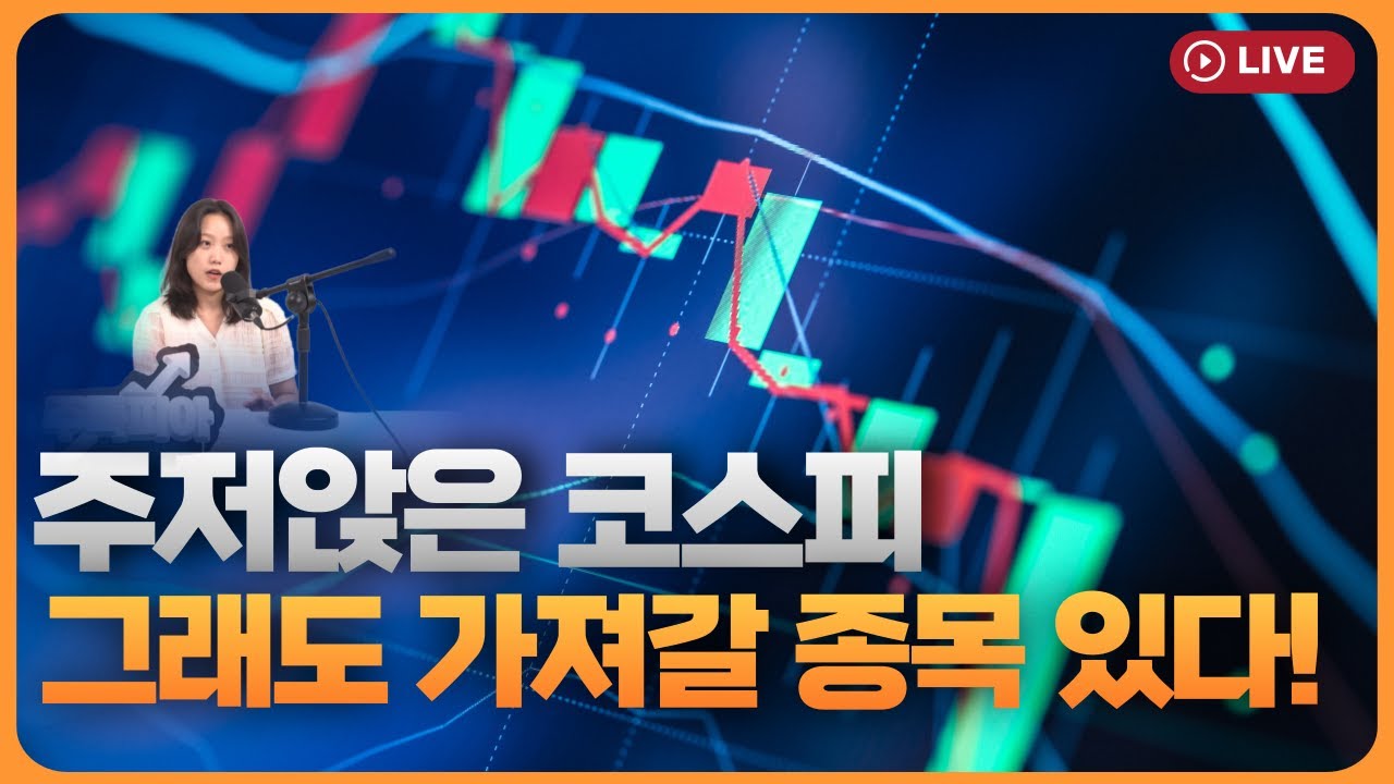 주저앉은 코스피…그럼에도 안고 갈 종목은 [330온에어]