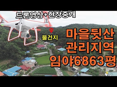 마을 뒷산 관리지역 임야매매