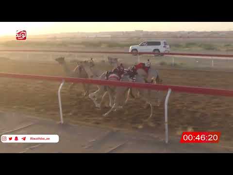   ش 8 (شاهين) لـ  الشرقي بن حموده بالزفنه الحرسوسي 2:23 , شارة الصندوق 2026/06/07 فطامين الجبيب  
