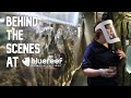 Behind The Scenes At Blue Reef Aquarium Hastings