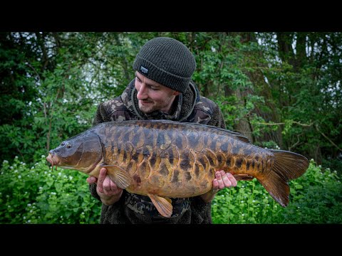 INCREDIBLE DAY TICKET CARP - Uk Carp Fishing