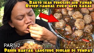 Download lagu SECRET RECIPE FOR FISH MEATBALLS WITH NATURAL CUKO SAMBAL mp3