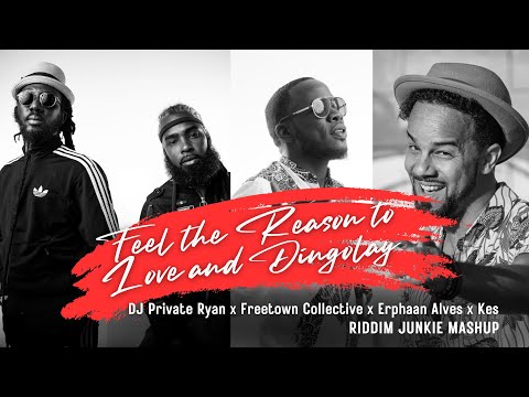 Feel the Reason to Love & Dingolay - DJ Private Ryan x Freetown Collective x Erphaan Alves x Kes
