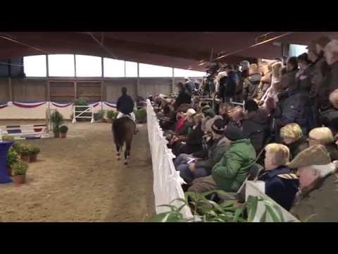 Hengststation Mass J. Hell - Hengstpräsentation 2015