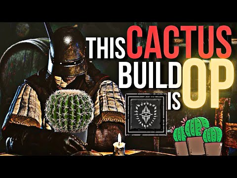 Cactus-Barian Build is Stupidly OP | Dark and Darker