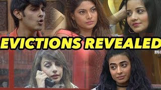 Bigg Boss 10 Eviction: Rohan, Lopamudra, Monalisa, Bani or Nitibha  Guess Who Got Evicted